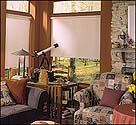 Cellular Shades